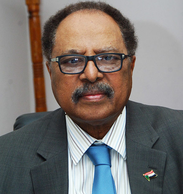 Hassan Abdelgadir
